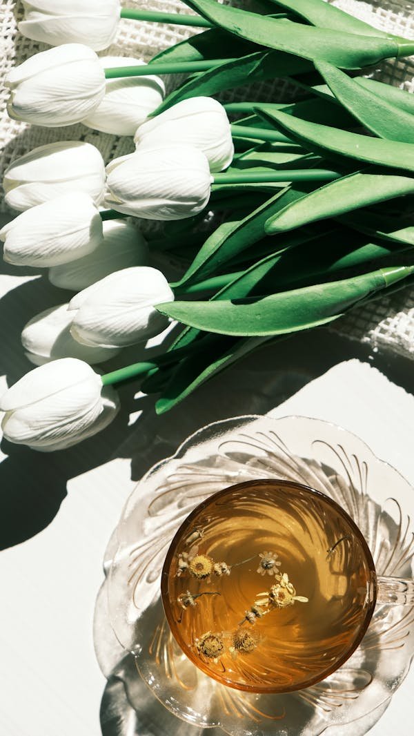 Transformez votre bien-être avec ces conseils santé pratiques